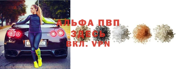спайс Богданович