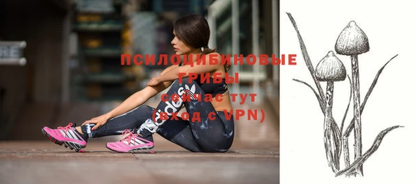 стаф Белокуриха