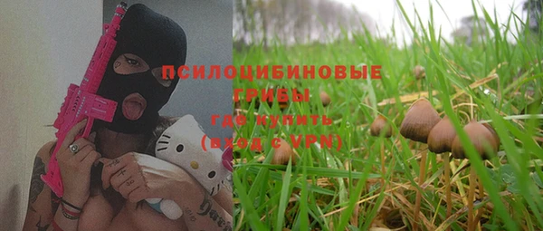 тгк Беломорск