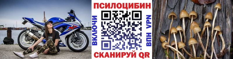 Псилоцибиновые грибы мухоморы  где продают   kraken как зайти  Тогучин 